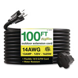 GoGreen Power 14 AWG Heavy-Duty Extension Cord, 100 ft, 13 A, Black (GGPGG13800BK) Each