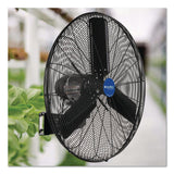 Global Industrial® 2 Speed Oscillating Outdoor Rated Wall Mount Fan, 30", Black (GBE292451) Each