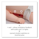 Brayden Brayden PRO Baby Pediatric Feedback Manikin (AOHIM17P) Each