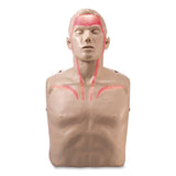 Brayden Brayden LED CPR Manikin with Blood Flow Circulation (Red Lights) (AOHIM13R) Each