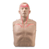 Brayden LED CPR Manikins with Trolley Bag and Four Manikins (AOHIM13R04) Each