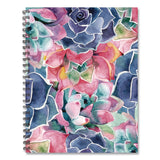Willow Creek Press So Very Succulent Weekly/Monthly Planner, 11 x 8.5, Multicolor Cover, 12-Month (Jan to Dec): 2026 (WPR57377) Each