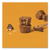 Bobo's Oatmeal Bites, Peanut Butter Chocolate Chip, 1.3 oz Individually Wrapped, 25/Box (BBO00213) Box of 25