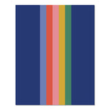 Willow Creek Press Bold Stripe Monthly Planner, 9.5 x 7.5, Multicolor Cover, 12-Month (Jan to Dec): 2026 (WPR58510) Each