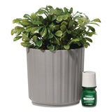 Lifelines® Evaporative Aromatherapy Essential Oil Boxwood Plant Diffuser with Fir Needle/Pine Essential Oil, 6.2 x 6.2 x 9.5, Gray/Green (LLN111611) Each