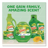 Gain® Liquid Laundry Detergent, HE Compatible, Original Scent, 194 oz Bottle (PGC19114) Each
