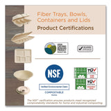 World Centric® Fiber Bowls, 20 oz, 6 x 6 x 1.7, Natural, 20/Pack (WORBORTSCU11) Pack of 20