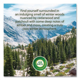 Air Wick® Vibrant Scented Oil Warmer Refill, Limited Edition, Winter Woods and Frosted Ivy, 0.67 oz, 2/Pack (RAC6233803463) Pack of 2