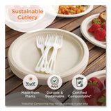 World Centric® TPLA Cutlery, Medium Heavyweight, Knife, Plastic, Light Beige, 24/Pack (WORKNPSR) Pack of 24