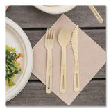 World Centric® Bamboo Cutlery, Medium Heavyweigh, Spoon, Paper, Natural, 24/Pack (WORSPBBR) Pack of 24