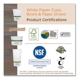 World Centric® Paper Hot Cups, 12 oz, Natural, 20/Pack (WORCURTPA12) Pack of 20