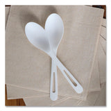 World Centric® TPLA Cutlery, Medium Heavyweight, Spoon, Plastic, Light Beige, 24/Pack (WORSPPSR) Pack of 24
