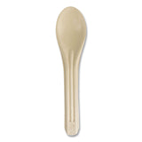 World Centric® NoTree Cutlery, Light Mediumweight, Spoon, Paper, Natural, 1,000/Carton (WORSPNT6) Case of 1000