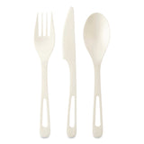 World Centric® TPLA Cutlery, Medium Heavyweight, Fork/Knife/Spoon, Plastic, Light Beige, 24/Pack (WORASPSR) Pack of 24