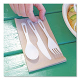 World Centric® TPLA Cutlery, Medium Heavyweight, Fork/Knife/Spoon, Plastic, Light Beige, 24/Pack (WORASPSR) Pack of 24