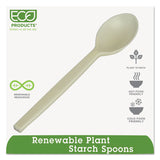 WNA EcoSense Renewable Plant Starch Cutlery, Spoon, 7", 50/Pack (WNAEPS003PK) Pack of 50