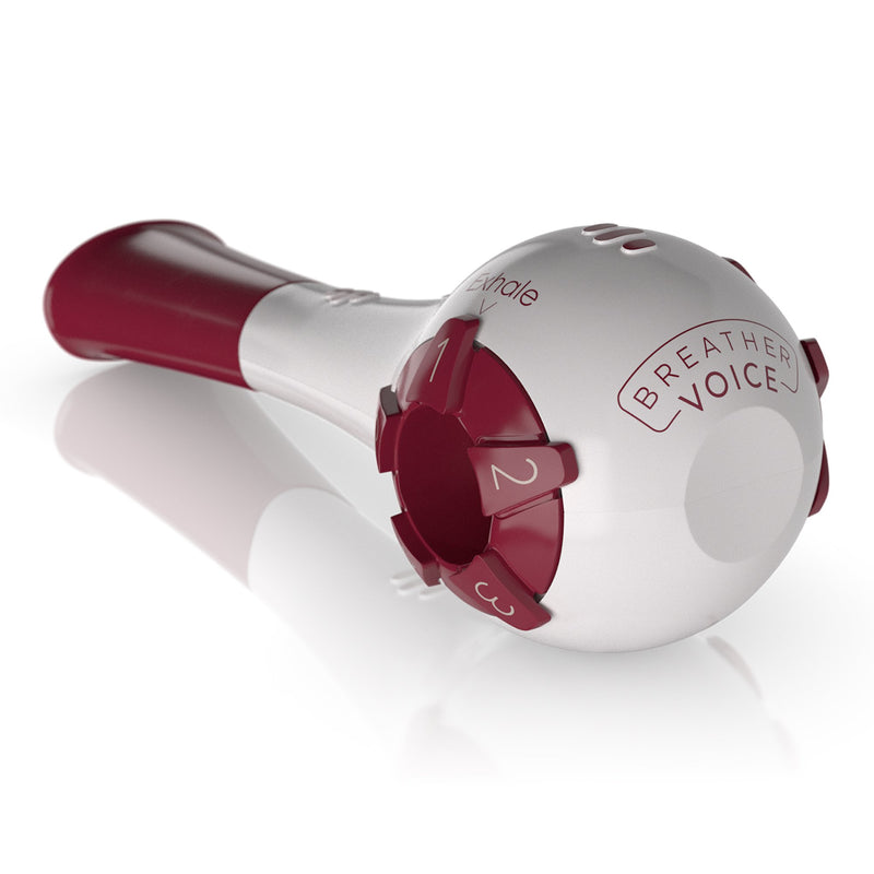 Breather Voice™ Respiratory Therapy System Adult (1228422_EA) 1/EA