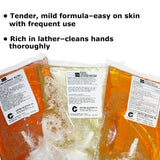 DermaCen® Soap Foaming 1,000 mL Dispenser Refill Bag Fresh Scent (567833_EA) 1/EA