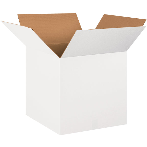 20 x 20 x 20" White Corrugated Boxes (202020W) Bundle Of 10