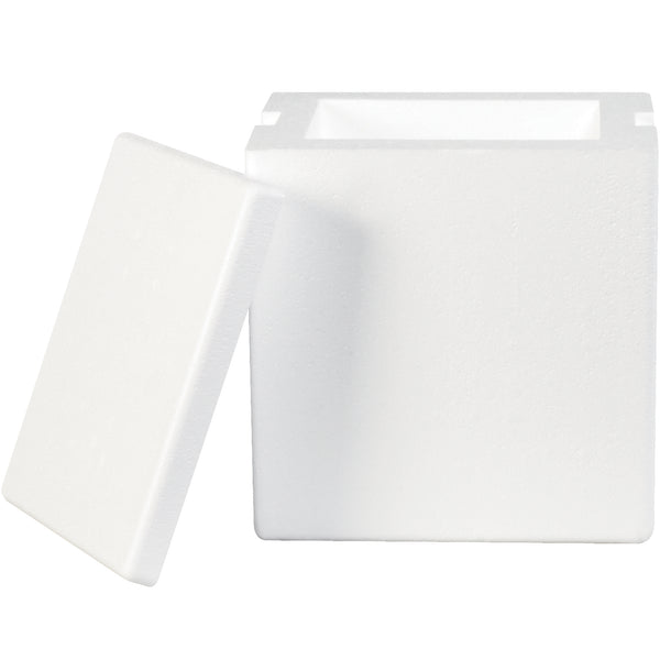 8 x 6 x 9" Insulated Foam Containers (209F) Case Of 8