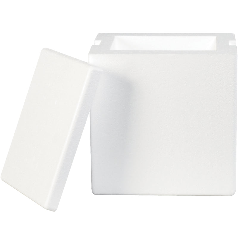 8 x 6 x 9" Insulated Foam Containers (209F) Case Of 8