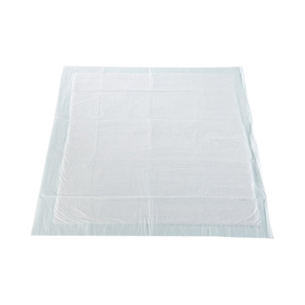 McKesson Super Disposable Underpad 30 X 30 Inch Fluff / Polymer Moderate Absorbency (724049_BG) 10/BG