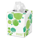 Seventh Generation® 100% Recycled Facial Tissue, 2-Ply, White, 85 Sheets/Box (SEV13719EA)