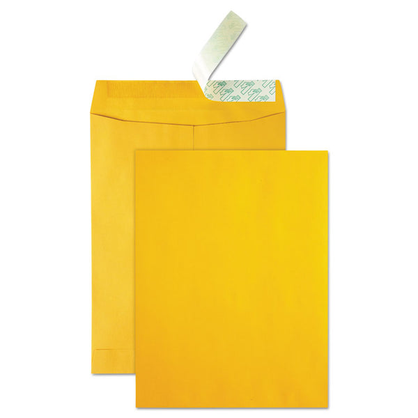 Quality Park™ High Bulk Redi-Strip Catalog Envelope, #13 1/2, Cheese Blade Flap, Redi-Strip Adhesive Closure, 10 x 13, Brown Kraft, 250/CT (QUA41620) Carton of 250