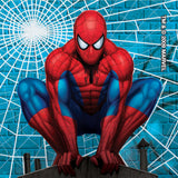 Value Stickers™ 100 per Roll Spider-Man Classic Value Sticker 1-5/8 Inch (726588_RL) 1/RL