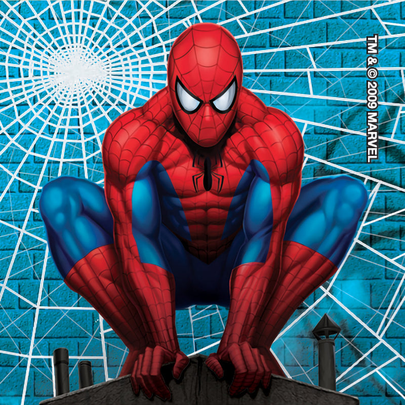 Value Stickers™ 100 per Roll Spider-Man Classic Value Sticker 1-5/8 Inch (726588_RL) 1/RL