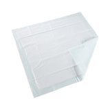 McKesson Super Disposable Underpad 30 X 30 Inch Fluff / Polymer Moderate Absorbency (1065010_CS) 100/CS