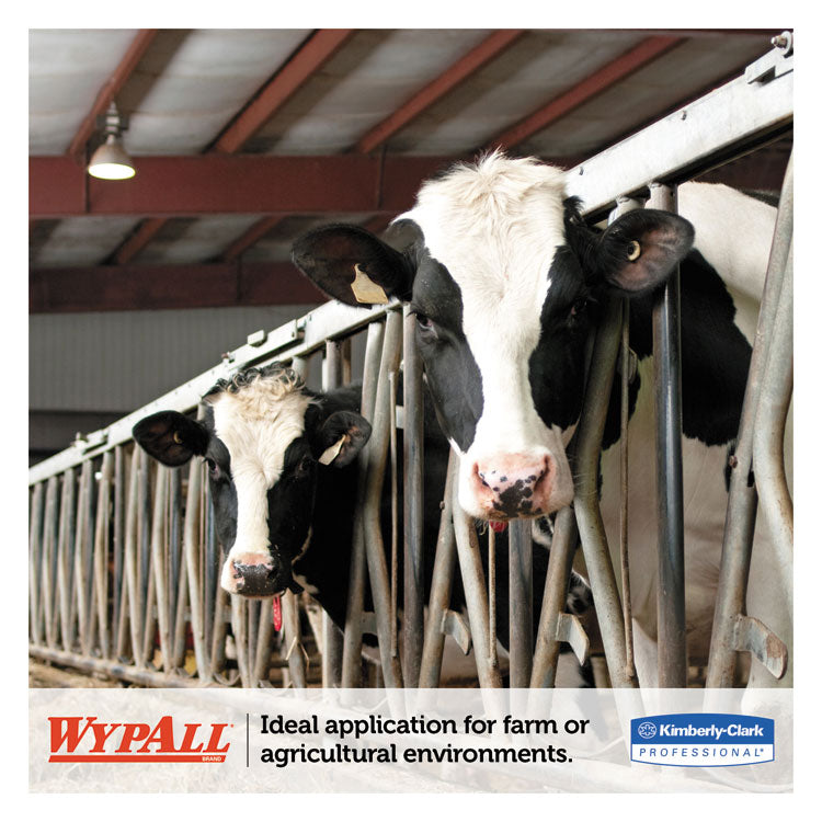 WypAll® L10 SANI-PREP Dairy Towels, Banded, 2-Ply, 9.3 x 10.5, Unscented, White, 200/Pack, 12 Packs/Carton (KCC01770) Box of 12