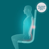 HoMedics® ShiatsuFlex® Back Massage Cushion with Heat HoMedics® ShiatsuFlex® (1253816_EA) 1/EA