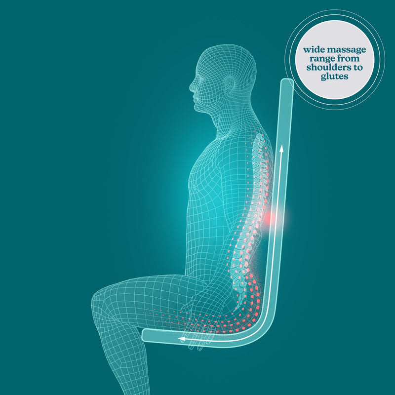 HoMedics® ShiatsuFlex® Back Massage Cushion with Heat HoMedics® ShiatsuFlex® (1253816_EA) 1/EA