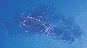 Erie Scientific Cover Glass Rectangle No. 2 Thickness 24 X 60 mm (198421_OZ) 1/OZ