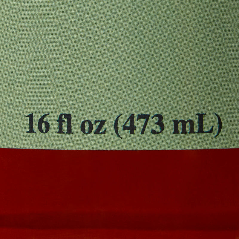 Geri-Care® Mineral Supplement Iron 220 mg Strength Liquid 16 oz. (634157_BT) 1/BT