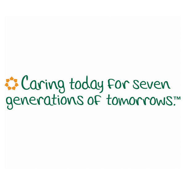 Seventh Generation® 100% Recycled Napkins, 1-Ply, 11 1/2 x 12 1/2, White, 250/Pack, 12 Packs/Carton (SEV13713CT)