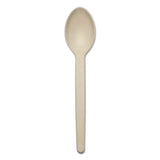CONSERVE® Corn Starch Cutlery, Spoon, White, 100/Pack (BAU10232)