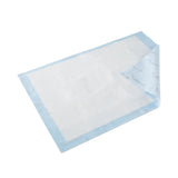 Wings™ Quilted Premium Comfort Disposable Underpad 23 X 36 Inch Airlaid Heavy Absorbency (813438_BG) 12/BG