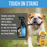 Tough Stuff® Urine Odor & Stain Eliminator, Original, 32oz, 12/Case (HOS32NTP-CS) Case of 12
