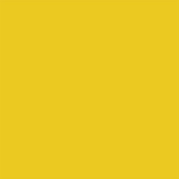 Proscope™ 664 Disposable Stethoscope Yellow 1-Tube 22 Inch Tube Single Sided Chestpiece (493334_CS) 50/CS