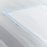 Simplicity™ Extra Disposable Underpad 30 X 30 Inch Fluff Moderate Absorbency (165543_CS) 10/CS