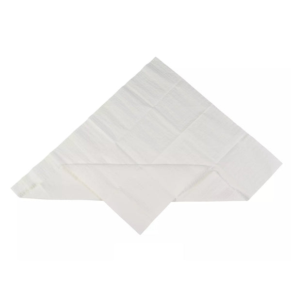 Cardinal Sterilization Tray Liner 19-1/2 X 23 Inch, Absorbent (971803_CS) 400/CS