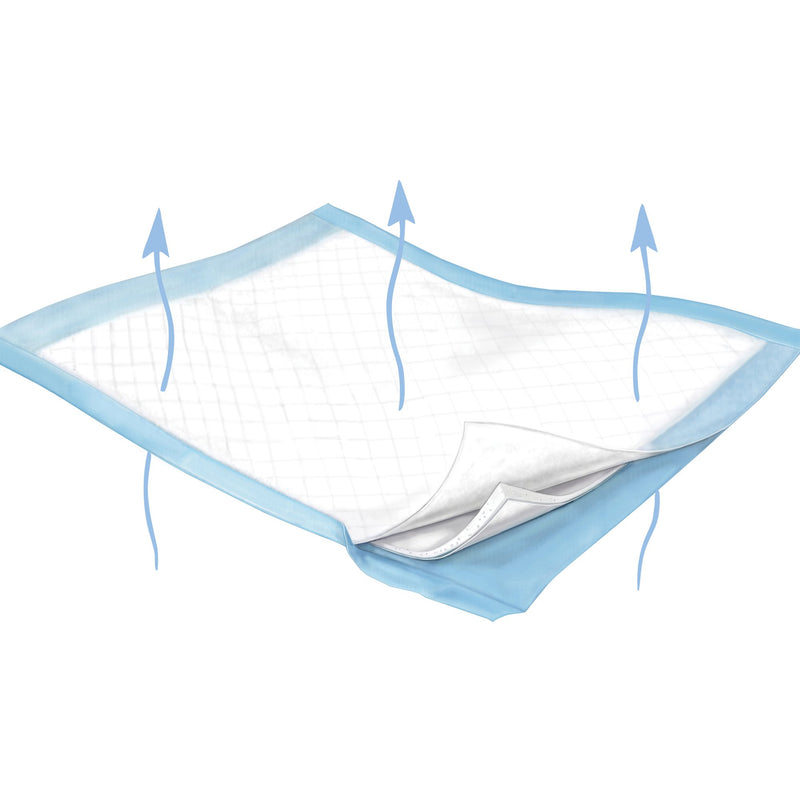 Wings™ Breathable Plus Disposable Underpad 30 X 36 Inch Fluff / Polymer Heavy Absorbency (533483_BG) 10/BG