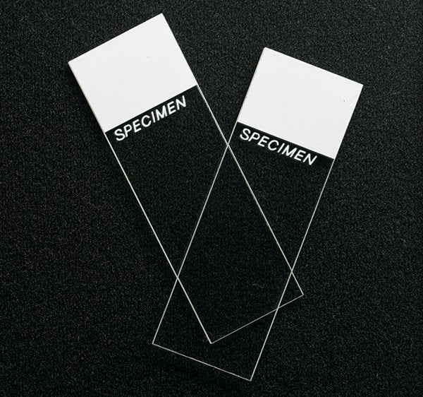 Superfrost® Microscope Slide 25 X 75 X 1 mm White Frosted End (556274_GR) 144/GR