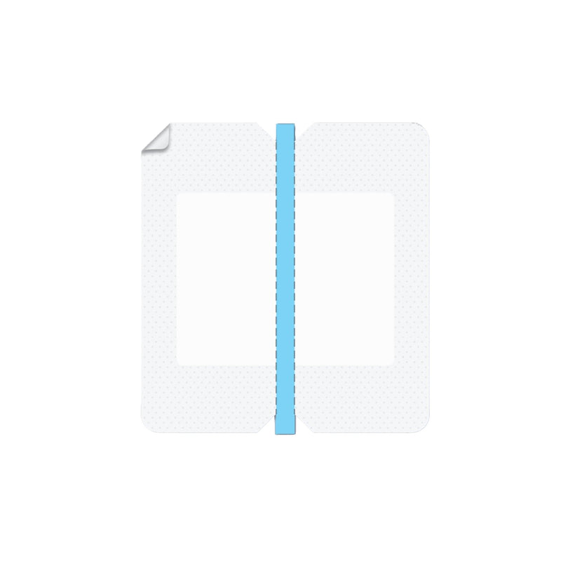 VALGuard® I.V. Specialty Dressing Film 4 X 4-1/2 Inch Sterile (1259415_BX) 50/BX