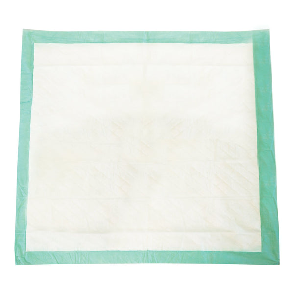 Tranquility® Essential Disposable Underpad 28 X 30 Inch Super Absorbent Material Moderate Absorbency (696235_BG) 10/BG