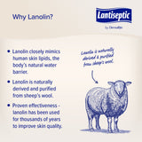 Lantiseptic® Dry Skin Therapy Skin Protectant 4 oz. Tube Lanolin Scent Cream (892681_CS) 12/CS