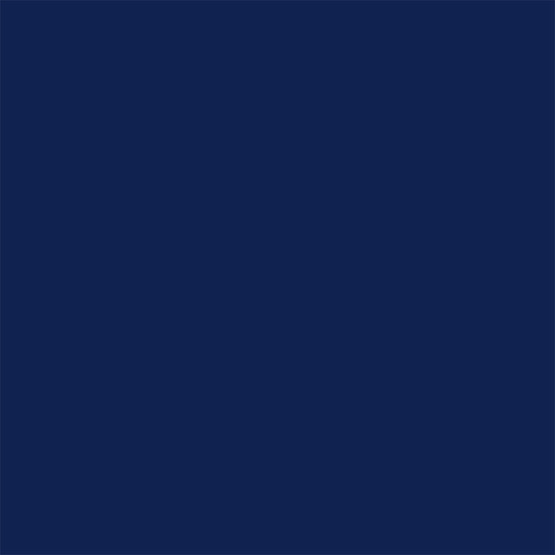 Delta-Lite® Plus Cast Tape 2 Inch X 12 Foot Fiberglass / Resin Deep Blue (653364_BX) 10/BX