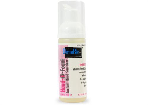 Hand-E-Foam® Alcohol-Free Hand Sanitizer 8 oz. Benzethonium Chloride Foaming Pump Bottle (583175_EA) 1/EA